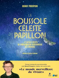 La boussole céleste du papillon