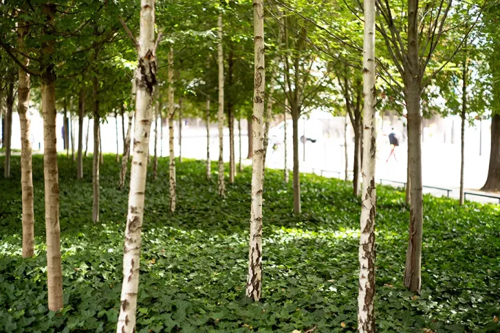 photo du jardin de la maison de la radio et de la musique
