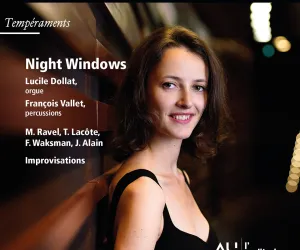 Disque night windows lucile Dollat