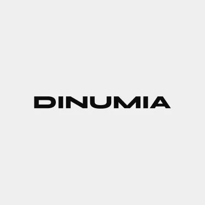 Logo Dinimua conseil